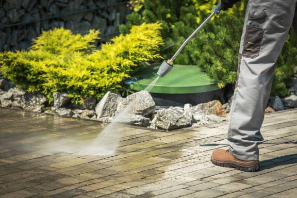Best Building Exterior Washing  in Mammoth Lakes, CA